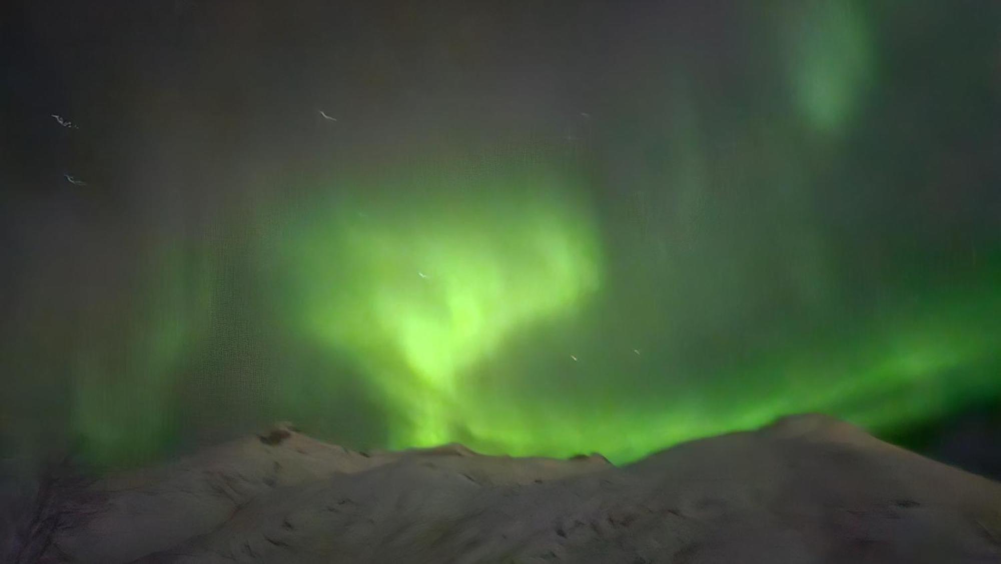 Villa Arctica Tromsø Zewnętrze zdjęcie